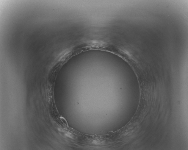 X0000060571399200511101617