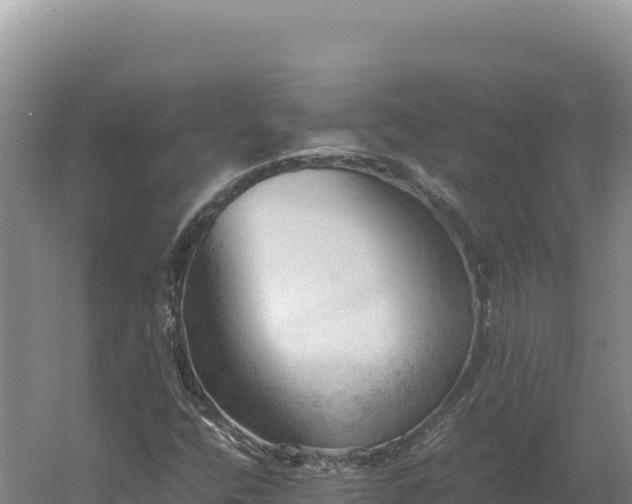 X0000060571400200511101617