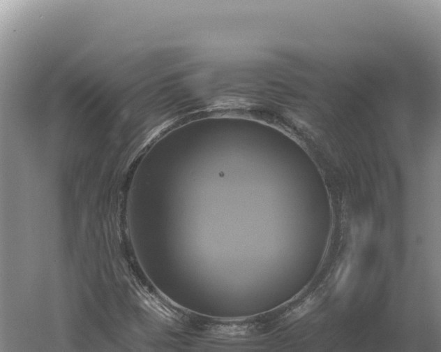 X0000060571401200511101617