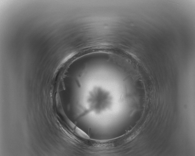 X0000060571402200511101617