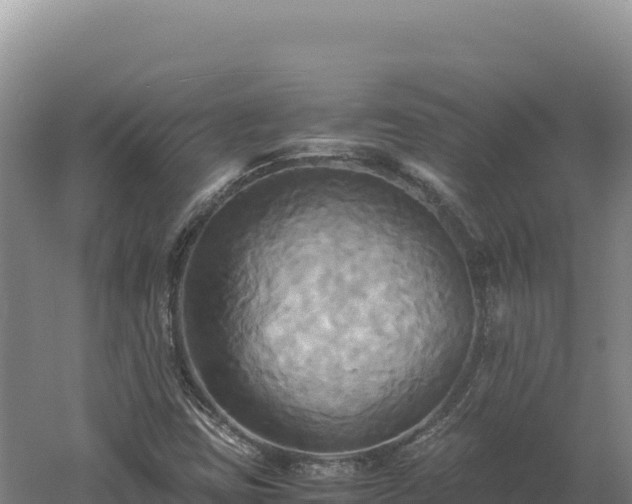 X0000060571403200511101617