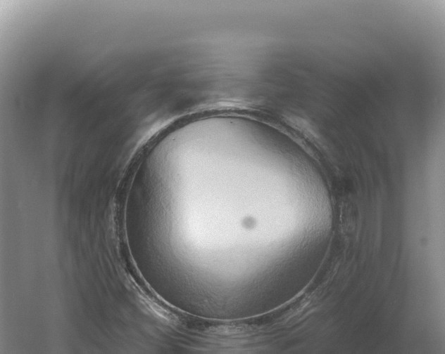 X0000060571404200511101617