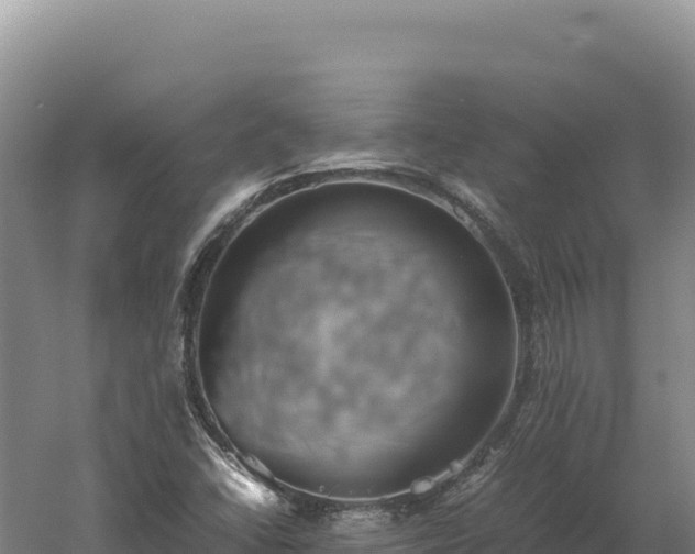 X0000060571406200511101617