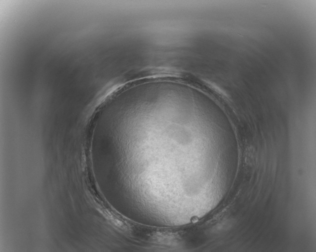 X0000060571407200511101617