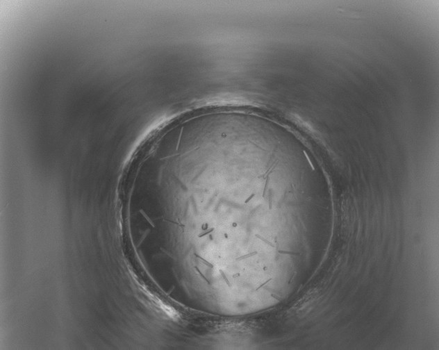 X0000060571408200511101617