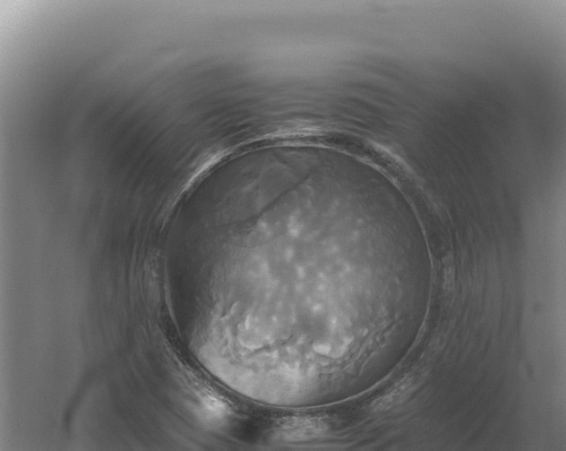 X0000060571409200511101617