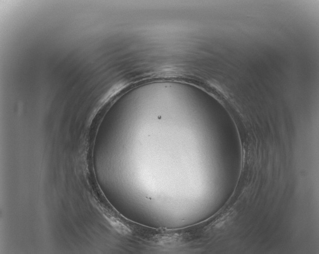 X0000060571410200511101617