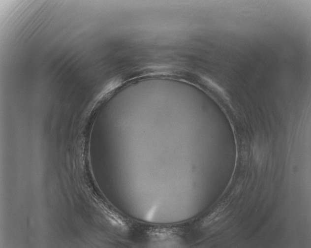 X0000060571411200511101617