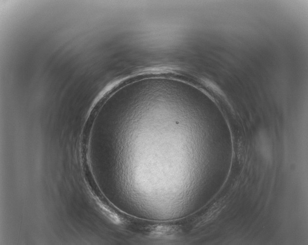 X0000060571412200511101617