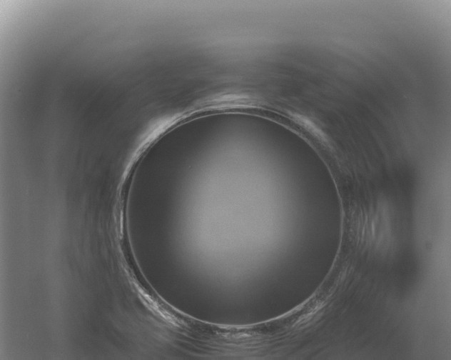 X0000060571413200511101617