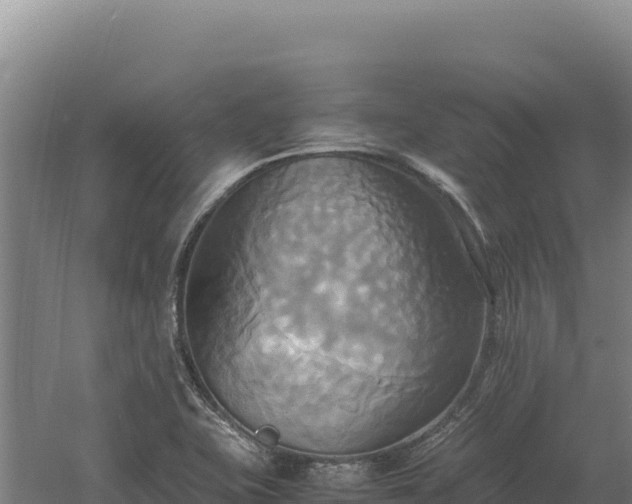 X0000060571415200511101618