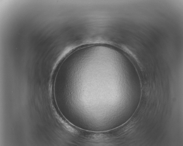 X0000060571416200511101618