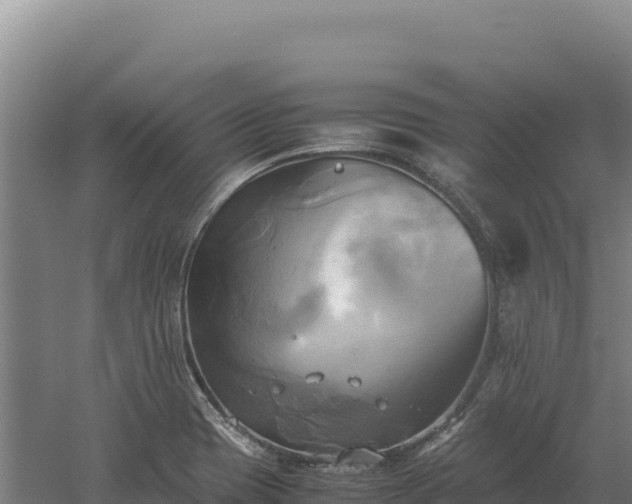 X0000060571417200511101618