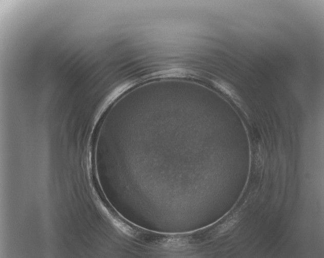 X0000060571418200511101618