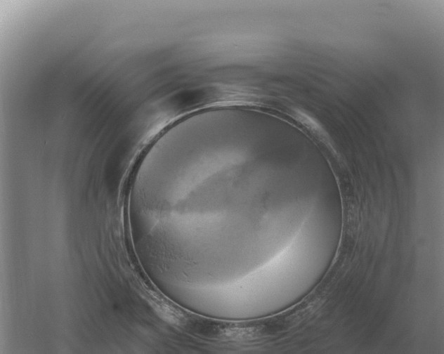 X0000060571419200511101618