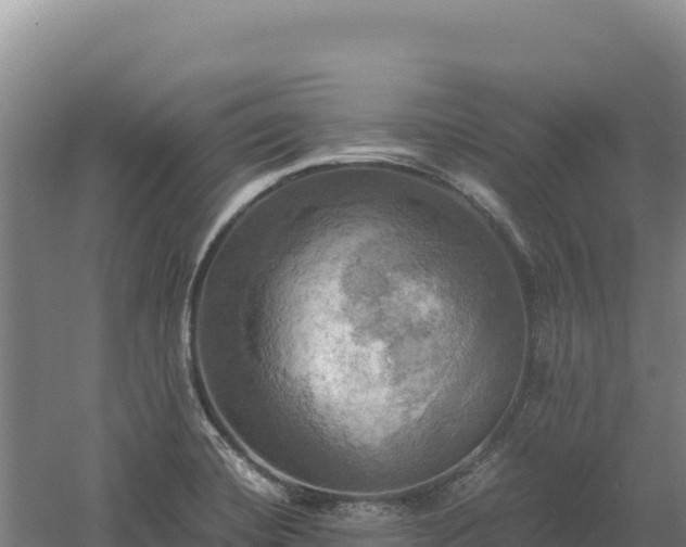 X0000060571420200511101618