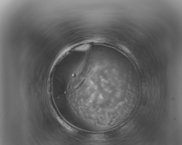 X0000060571421200511101618