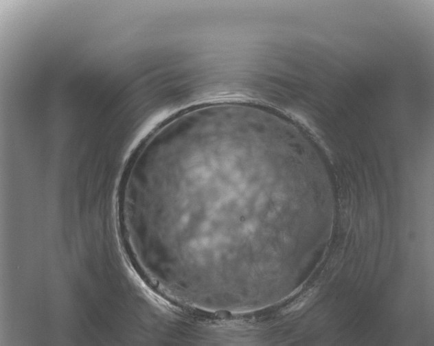 X0000060571422200511101618