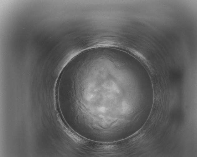 X0000060571423200511101618