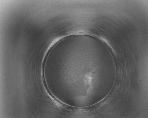 X0000060571424200511101618