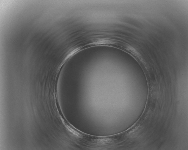 X0000060571425200511101618