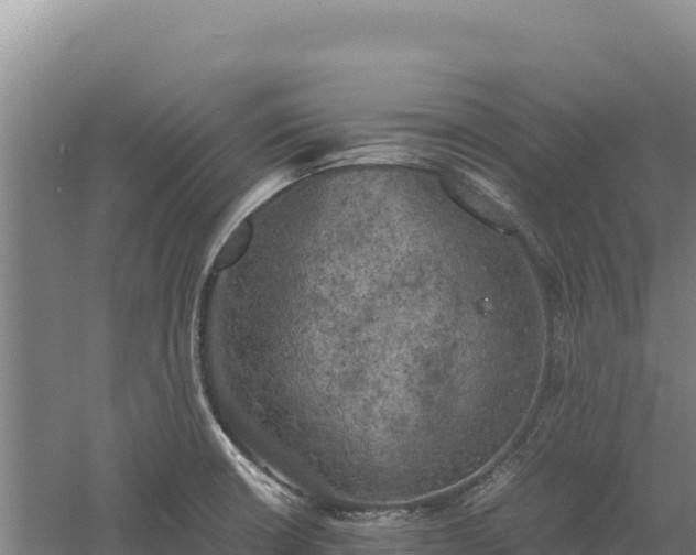 X0000060571426200511101618