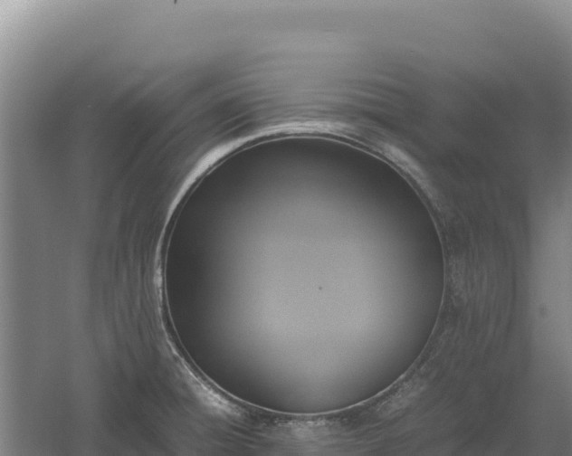 X0000060571428200511101618