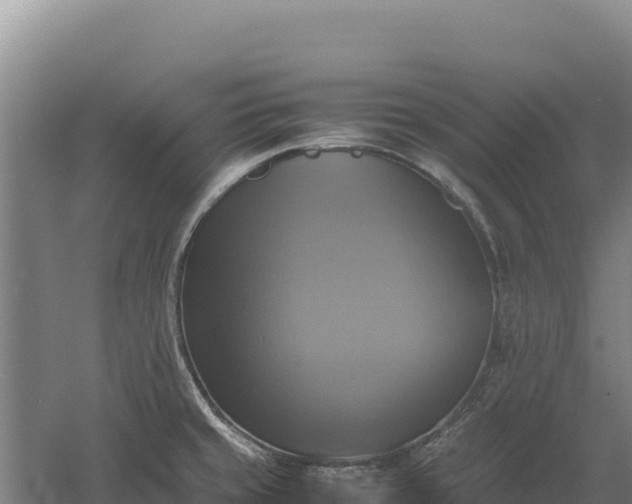 X0000060571429200511101618