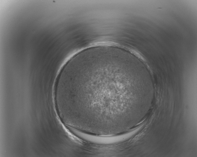 X0000060571430200511101618