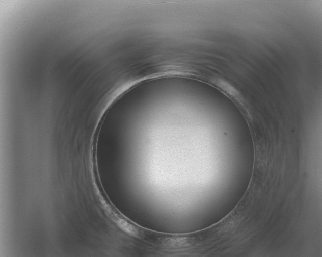 X0000060571431200511101618