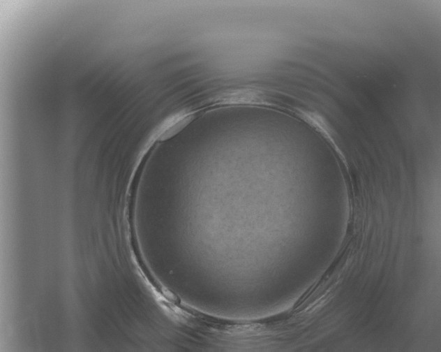 X0000060571434200511101618