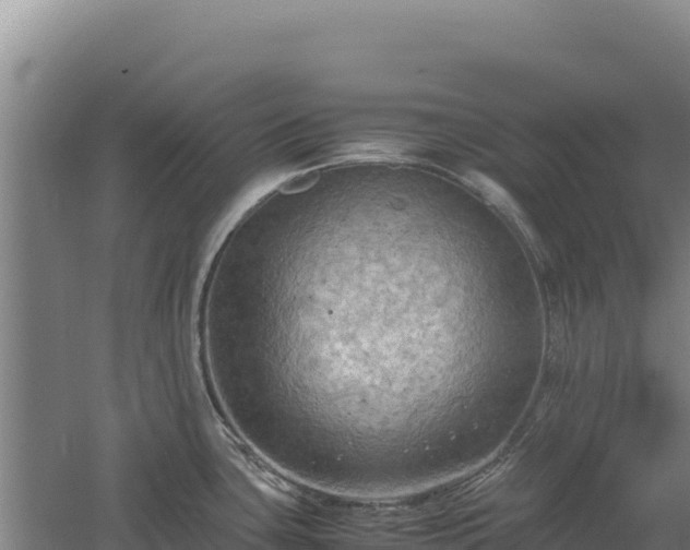 X0000060571435200511101618