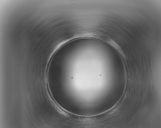 X0000060571436200511101618