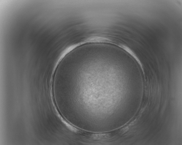 X0000060571437200511101618