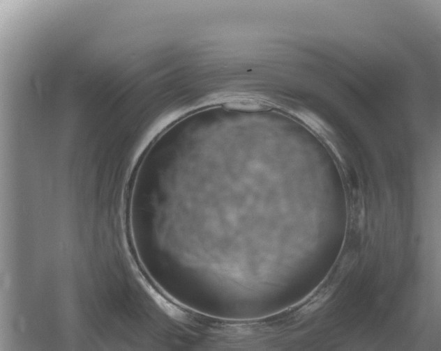 X0000060571438200511101618