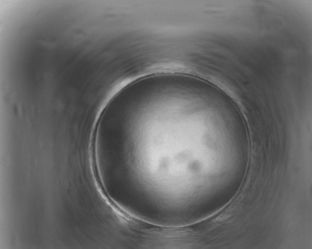 X0000060571440200511101618