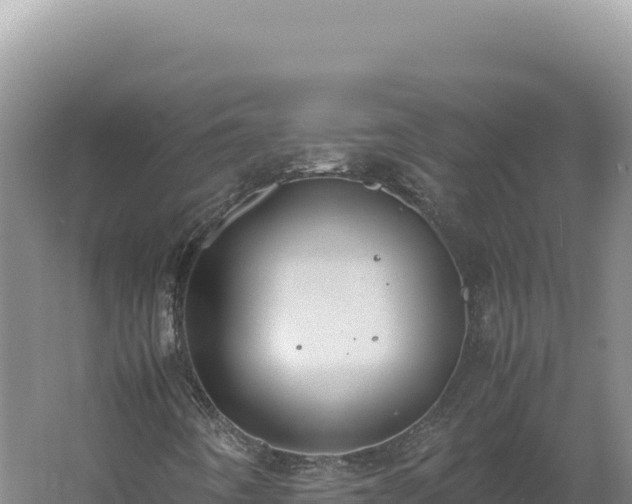 X0000060571442200511101617