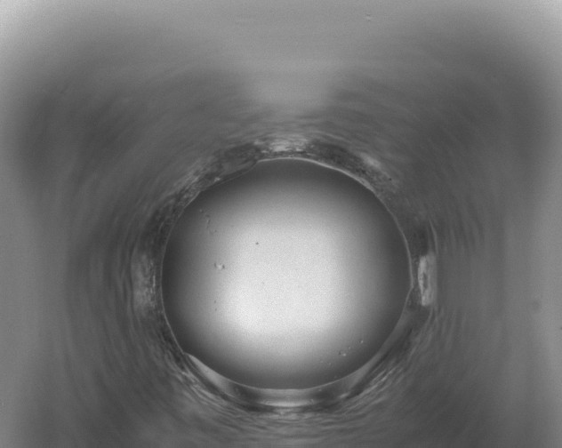 X0000060571443200511101617