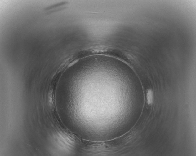 X0000060571444200511101617