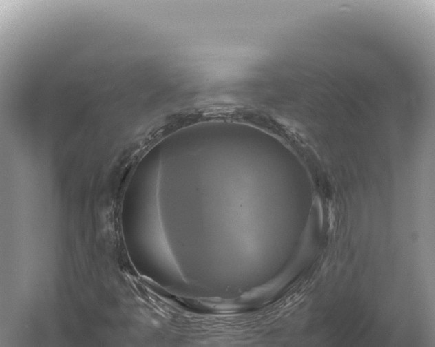 X0000060571445200511101617