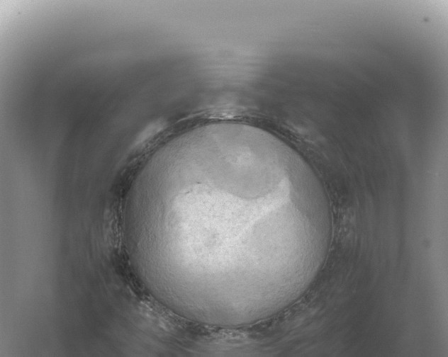 X0000060571446200511101617