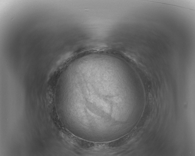 X0000060571447200511101617