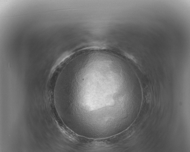 X0000060571448200511101617