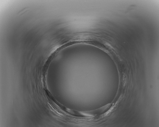 X0000060571449200511101617