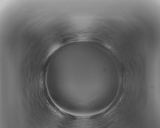 X0000060571450200511101617