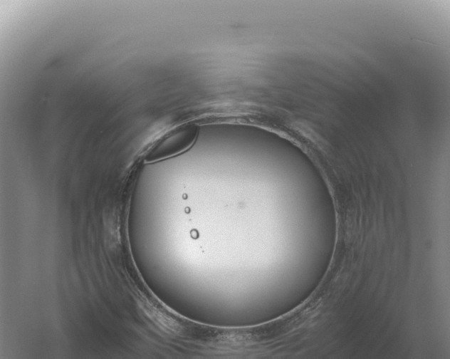 X0000060571451200511101617