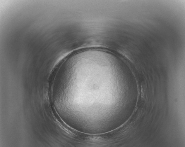 X0000060571452200511101617