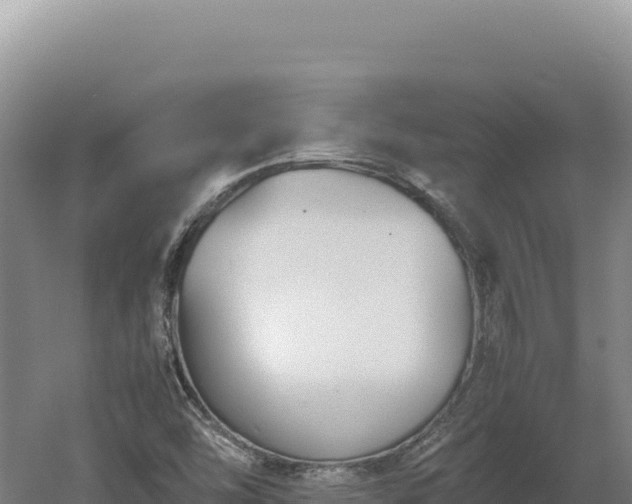 X0000060571454200511101617