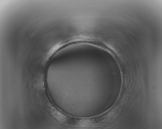 X0000060571455200511101617