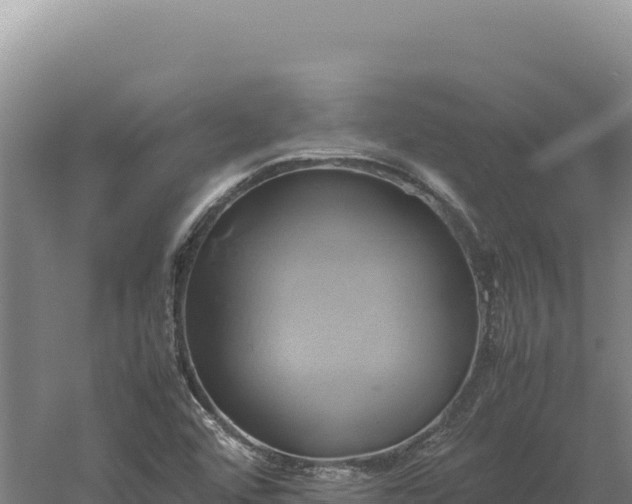 X0000060571456200511101617